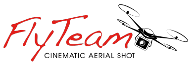 FlyTeam Logo